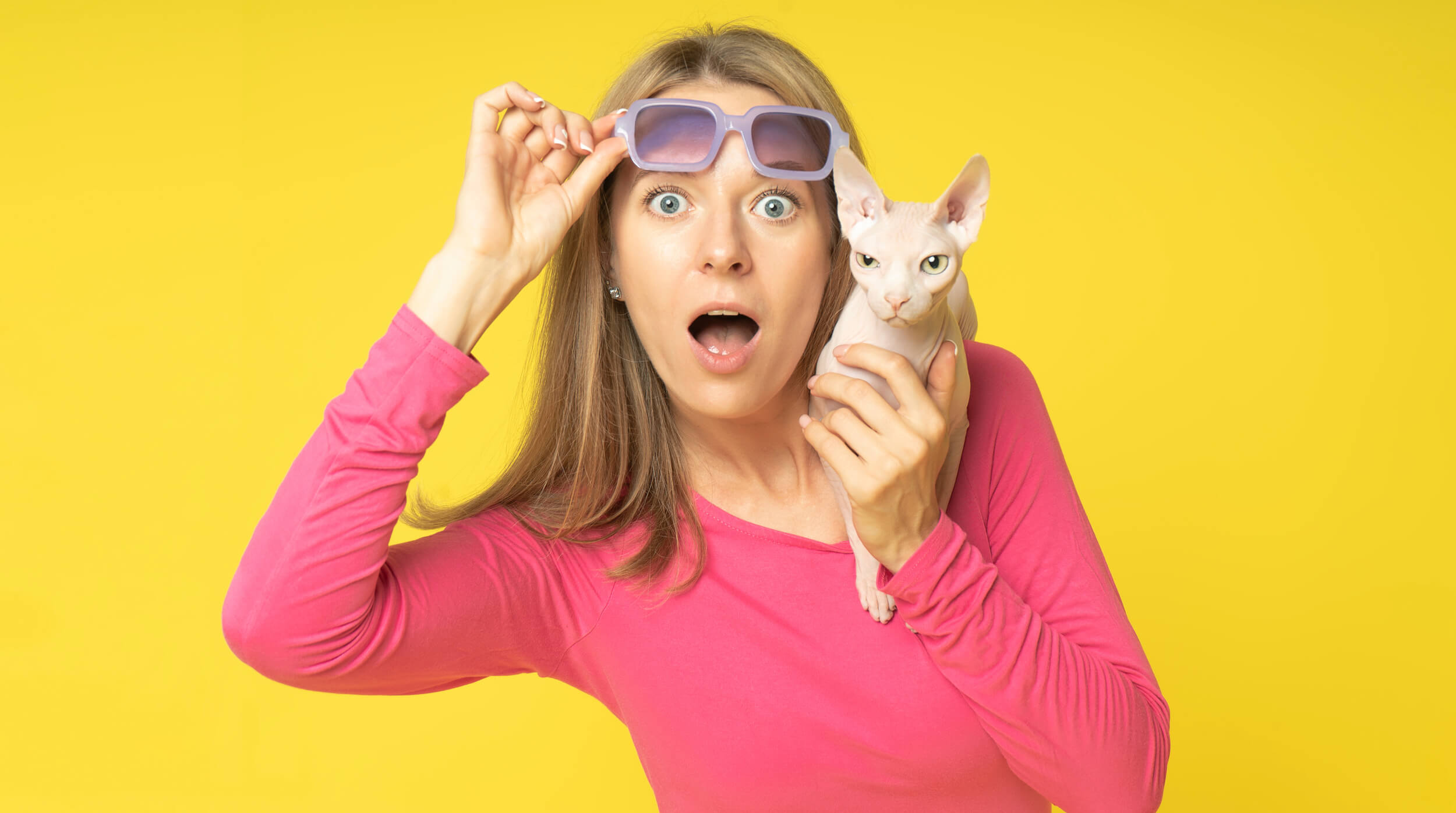 femme avec un chat qui soulève ses lunettes